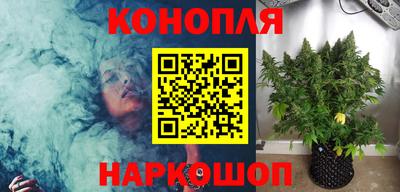 стафф Гусев