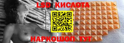 стафф Гусев