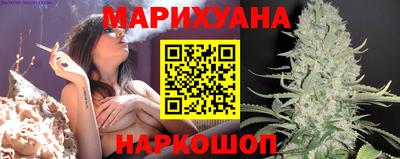 стафф Гусев