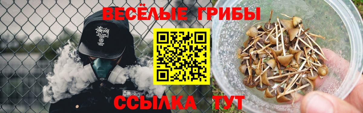 Галлюциногенные грибы ЛСД  Вход с VPN  Галлюциногенные грибы прущие грибы  Нижнеудинск 